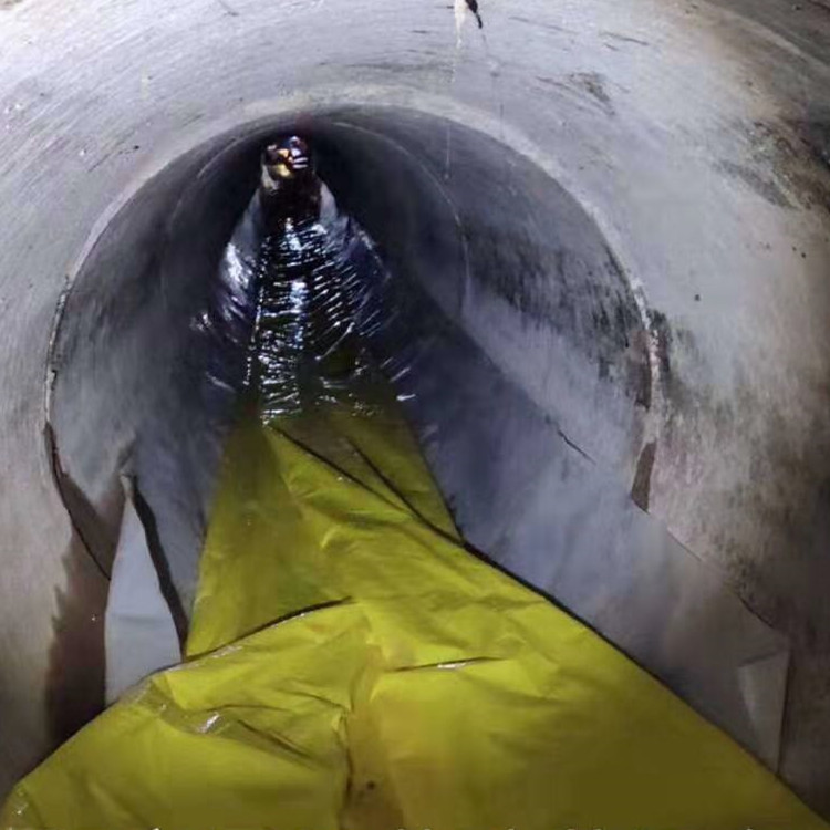 西林管道光固化修复